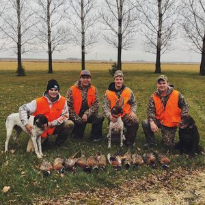 Meet your Posher, Carter